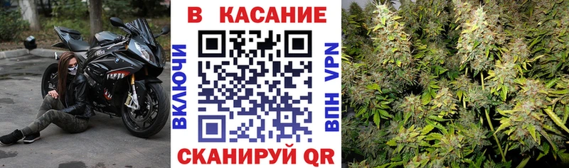 Как найти наркотики Стародуб ЭКСТАЗИ  ГАШИШ  MDMA  Канабис  Alpha-PVP 