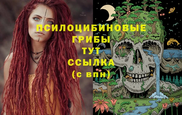 спиды Алексеевка