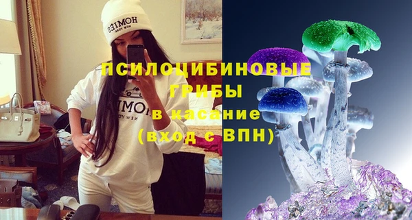 спиды Алексеевка